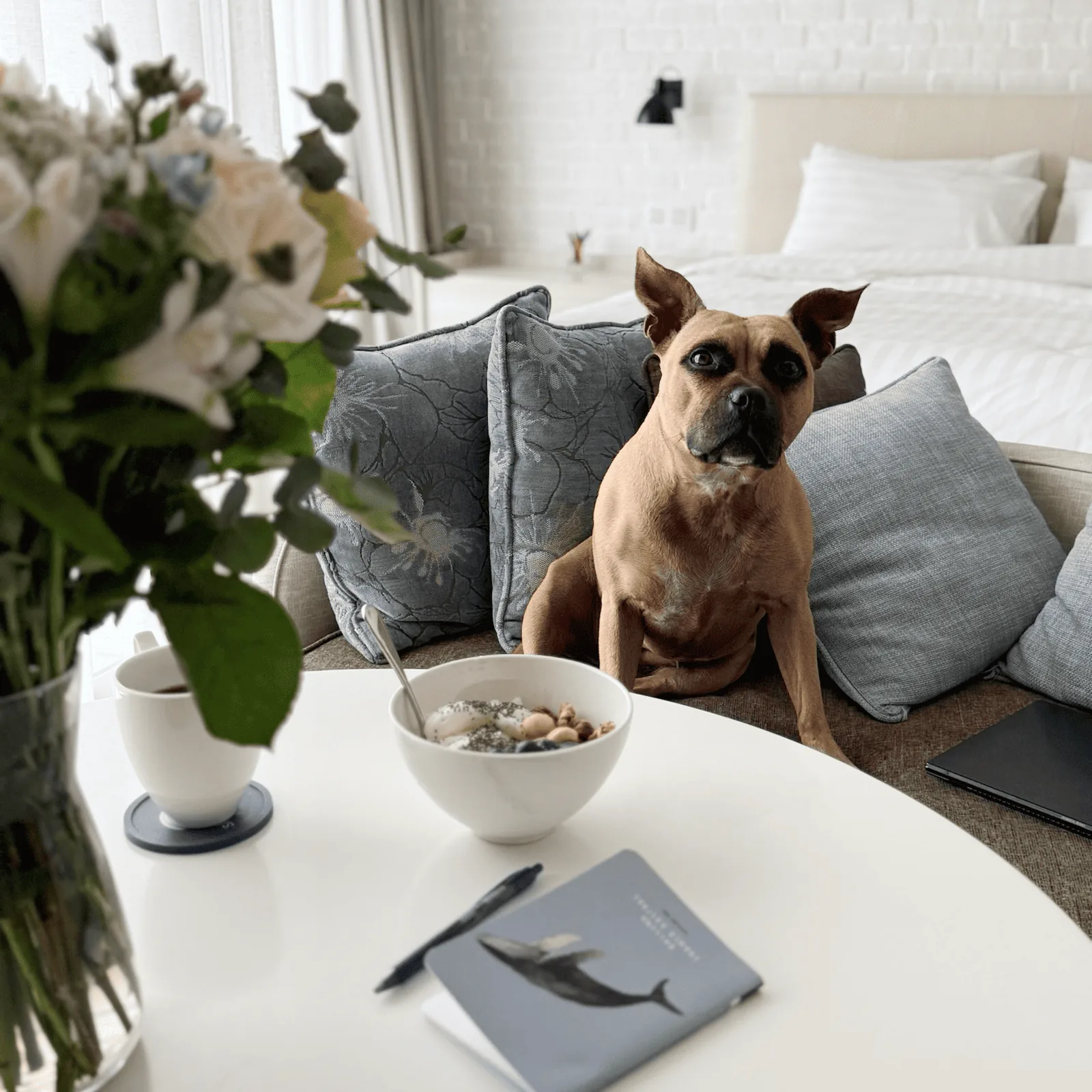 Service Dog заселение в отели