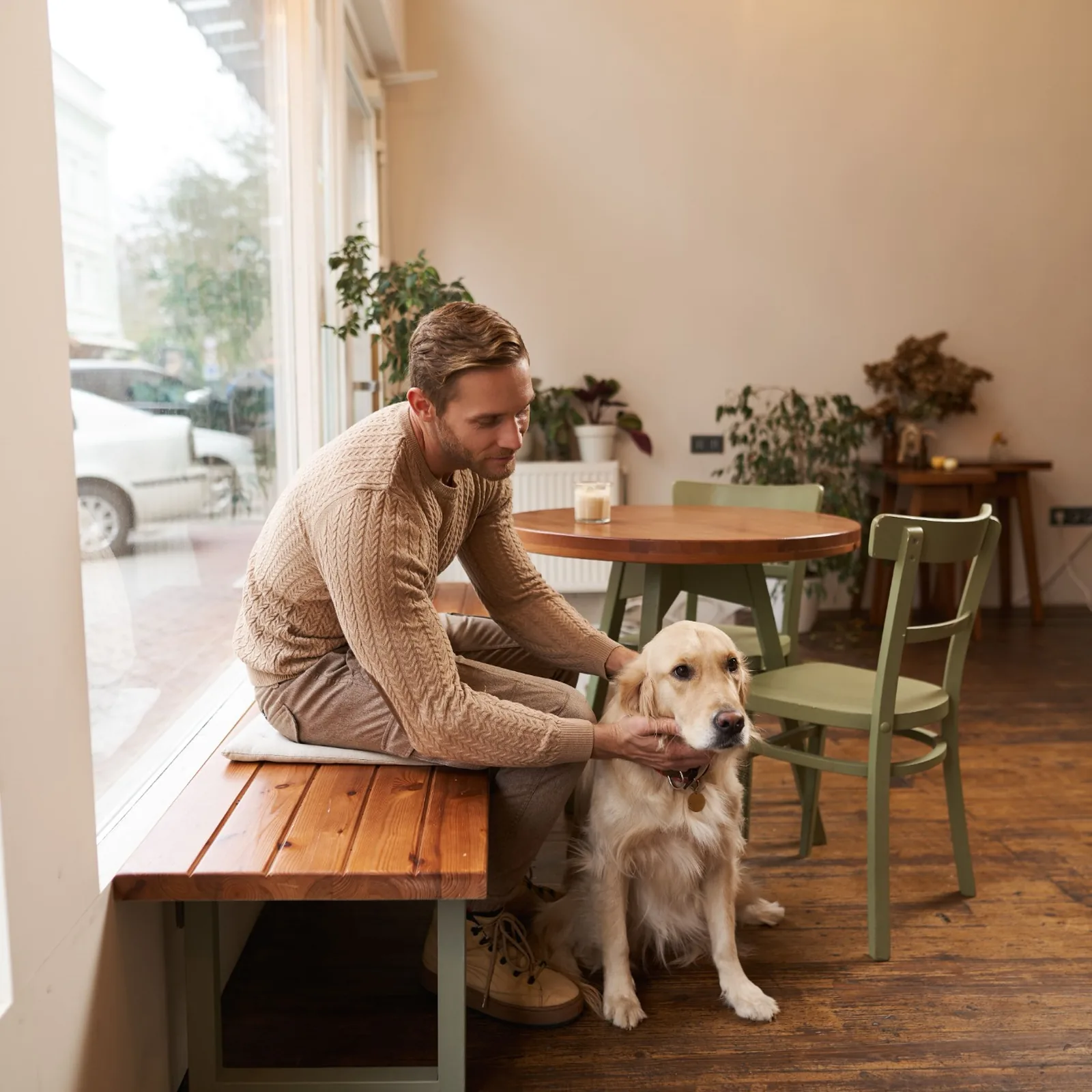 Service Dog может сопровождать вас в кафе