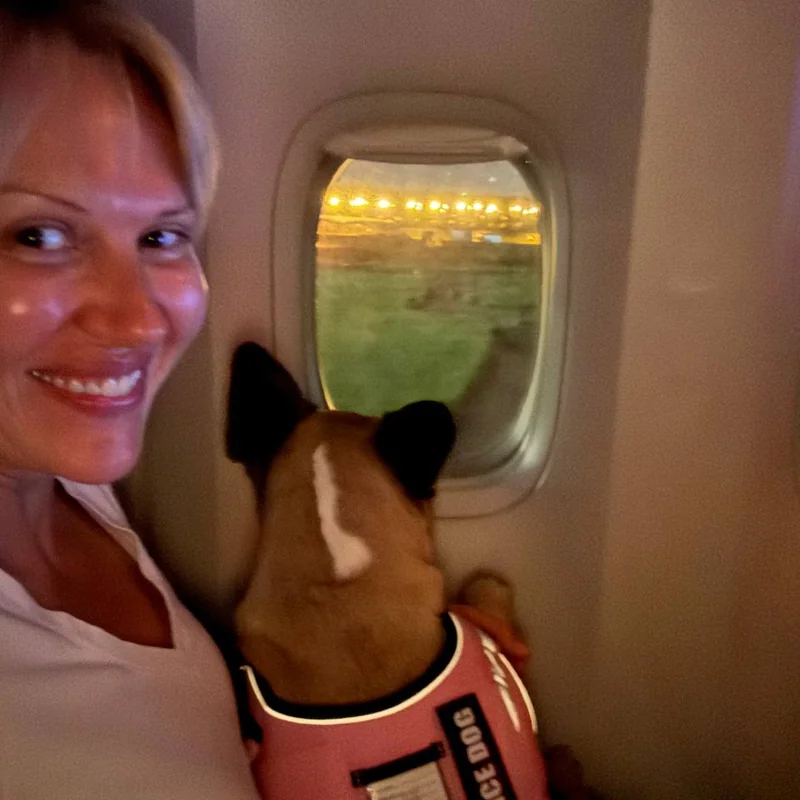 Тина и Моби — перелёт Россия → США (в салоне)