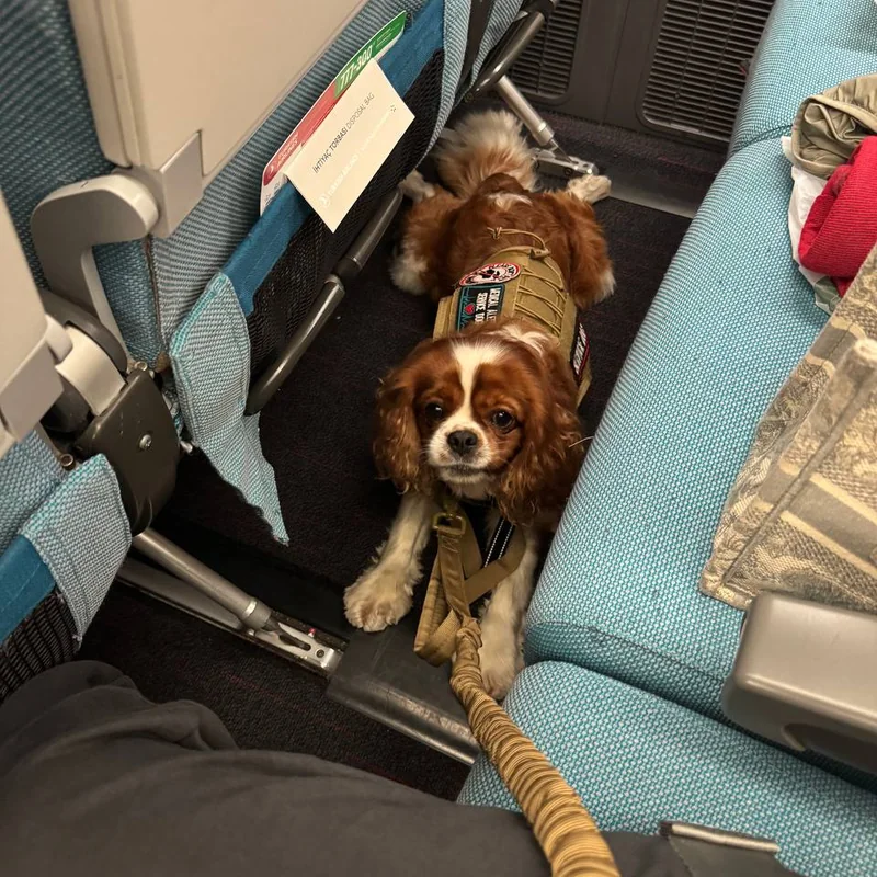 Лиза и Еся — Филиппины → Аргентина