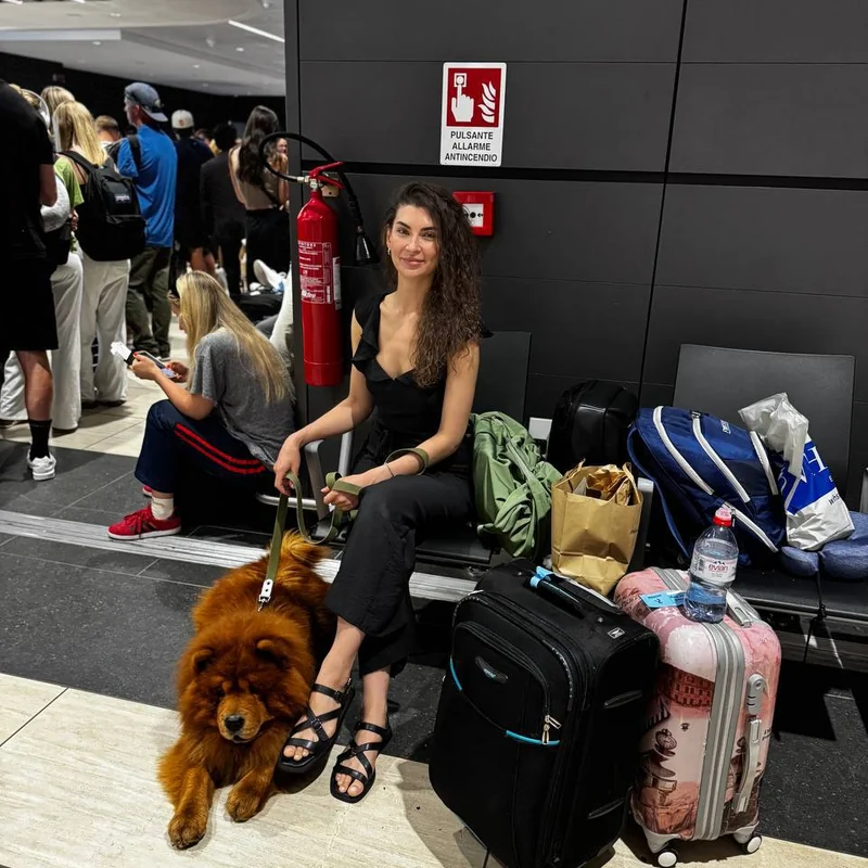 Наталья и Чарли — Грузия → США (в салоне)