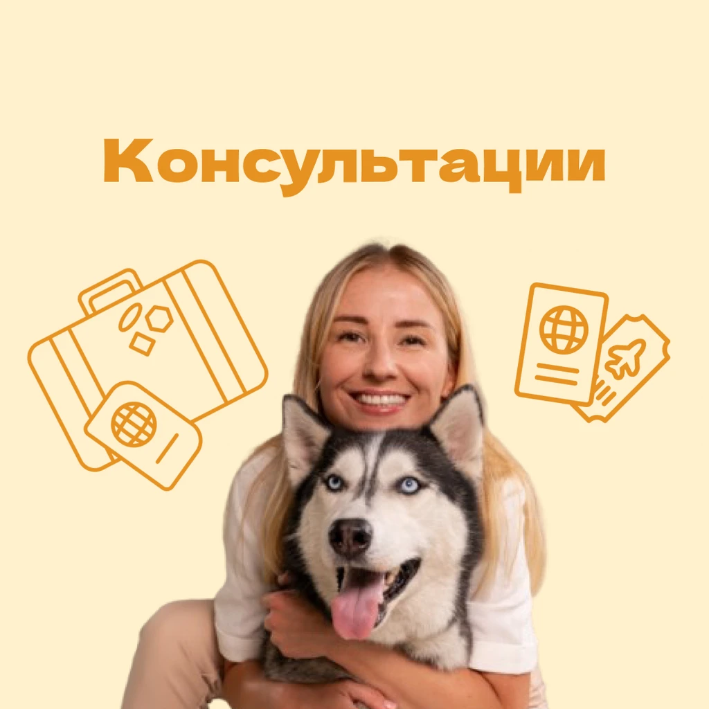 Консультация — подготовка документов для полёта