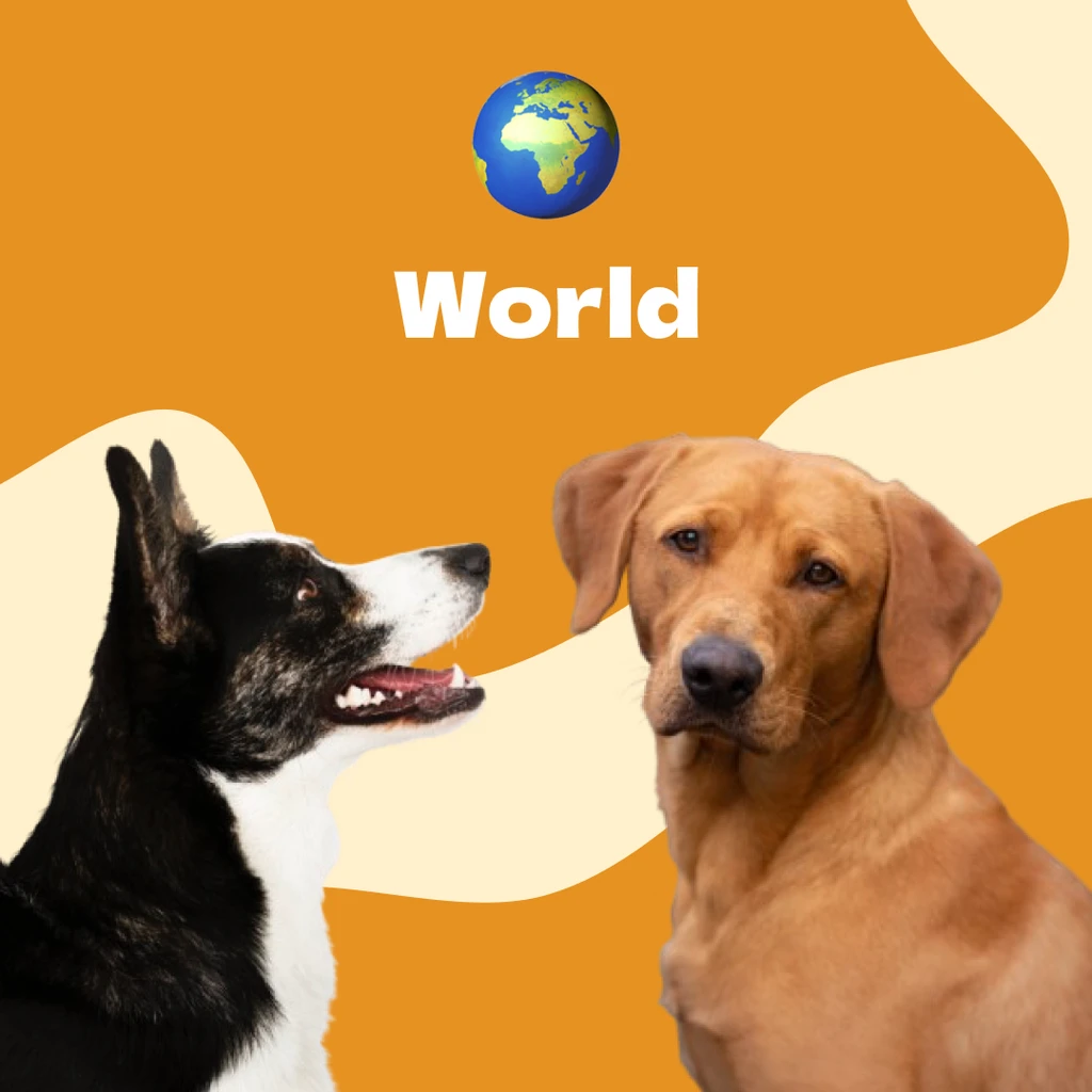 Тариф «Европа» — маршруты Европа/Азия/США/Канада…