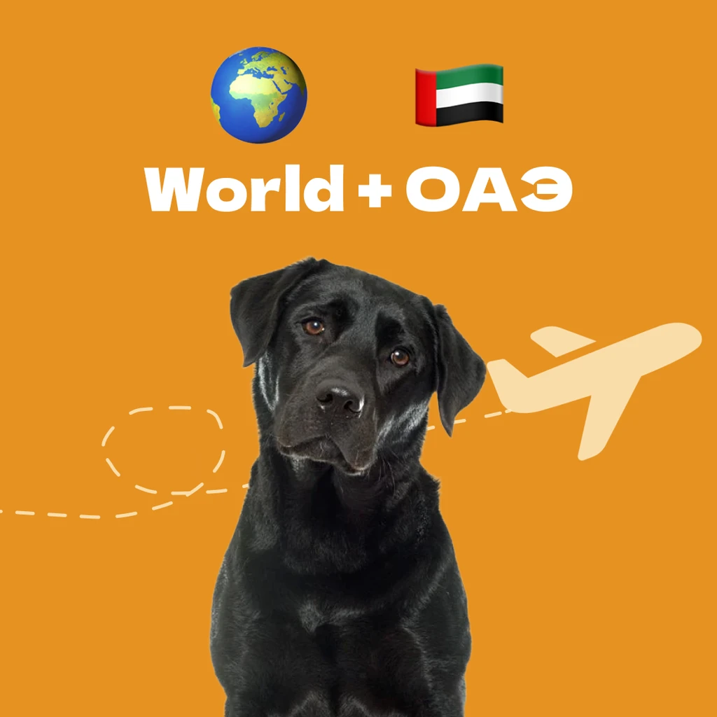 Тариф «ОАЭ» — World + ОАЭ