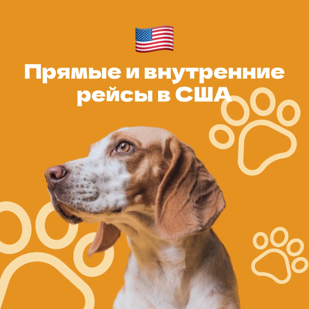 Тариф «США» — прямые и внутренние рейсы